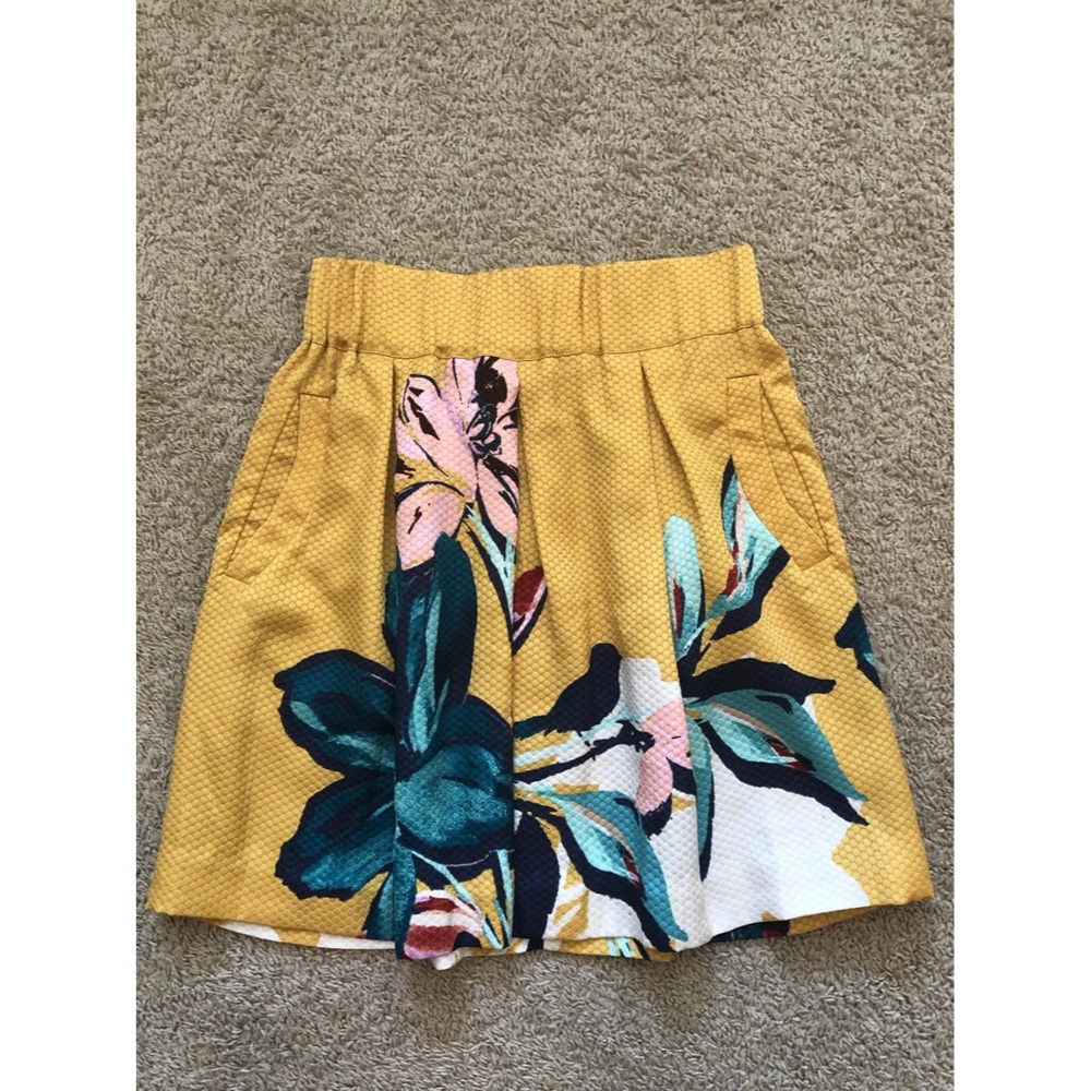 Anthropologie skirt